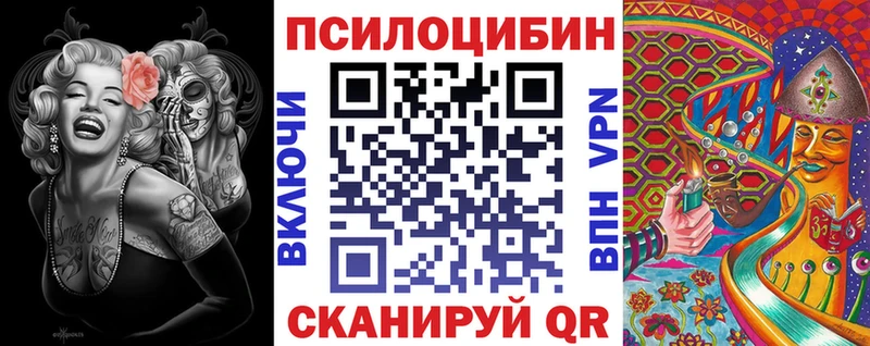 блэк спрут как войти  Кинель  Псилоцибиновые грибы MAGIC MUSHROOMS 